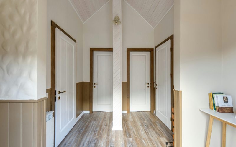 pexels-heyho-7746549